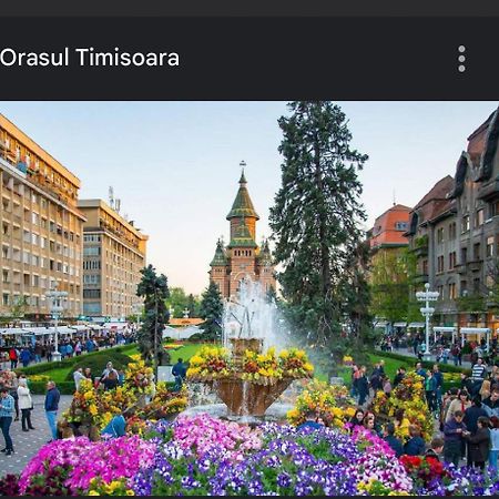 Apartament Lux Crialy - 75 M2 - Free Parking Тимишоара Экстерьер фото